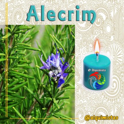 Vela de 3 Dias de Alecrim