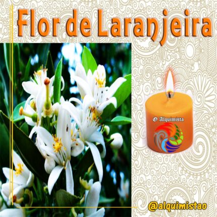 Vela de 3 Dias de Flor de Laranjeira