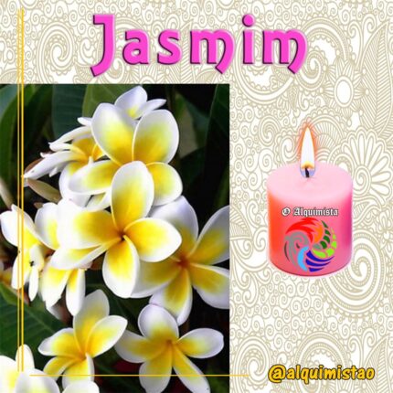 Vela de 3 Dias de Jasmim