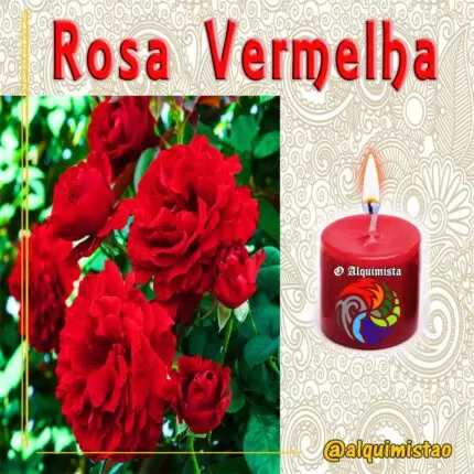 Vela de 3 Dias de Rosa Vermelha