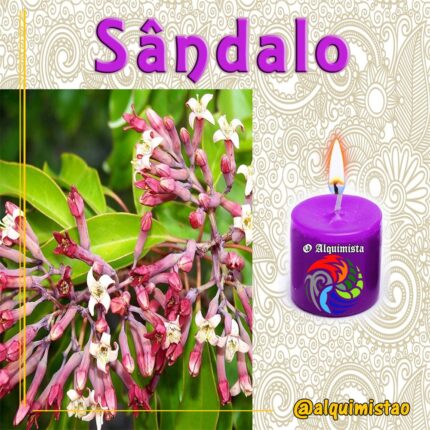 Vela de 3 Dias de Sândalo