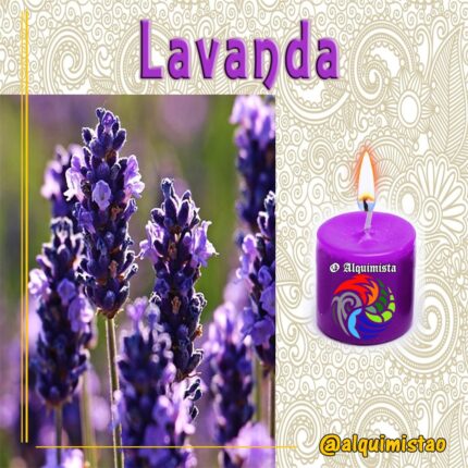 Vela de 3 Dias de Lavanda