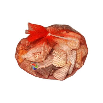 Conchas Mix Importada