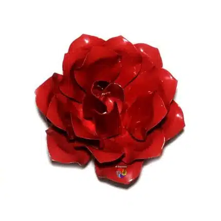 Rosa de Ferro Luxo Assentamento