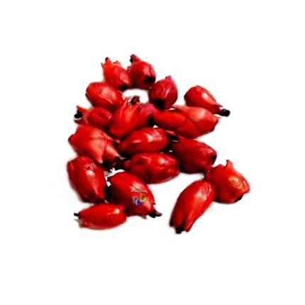 Fava do Amor