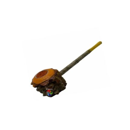 Cachimbo Angico Médio