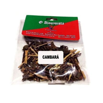 Erva - Cambará