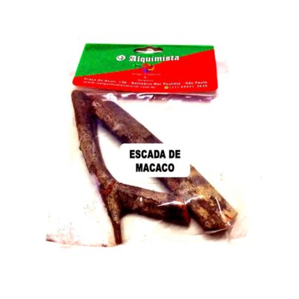 Erva - Escada de Macaco