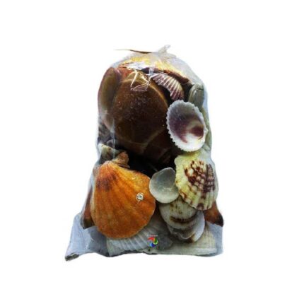 Conchas Mix Pacote Grande