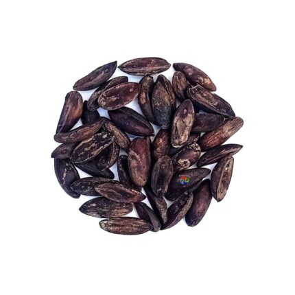 Fava de Pixuri