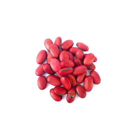Fava de Ogum Grande