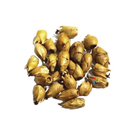 Fava da Fertilidade