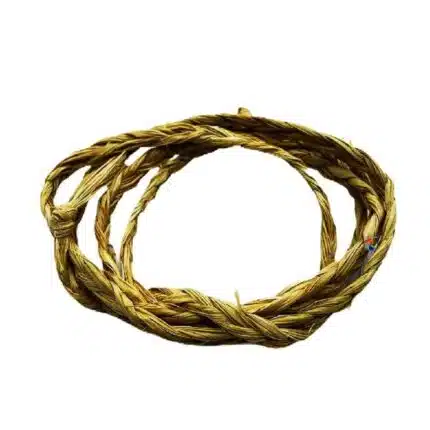 Umbigueira (Contra Egum de Barriga)