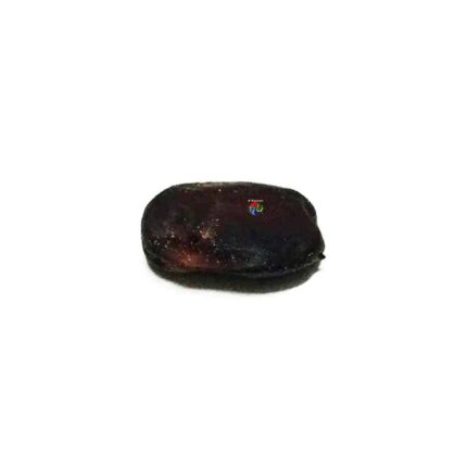 Fava de Ewa