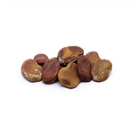 Fava de Iansã
