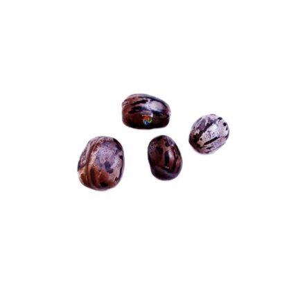 Fava de Olho Grande