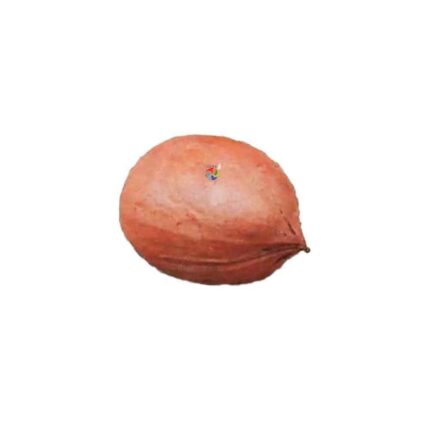 Fava de Oxaguian