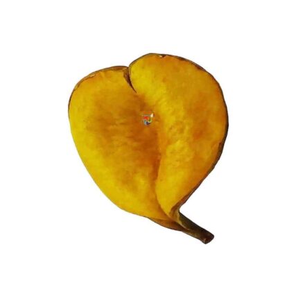Fava de Oxum