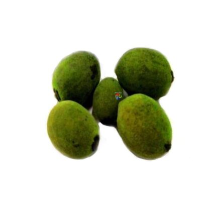Fava de Oxóssi Verde
