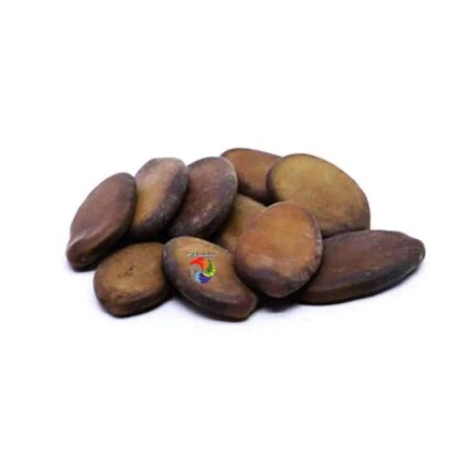 Fava Divina