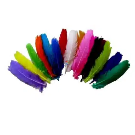 Penas Coloridas