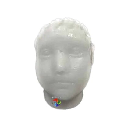 Cabeça de Cera - Criança Masculino Branca