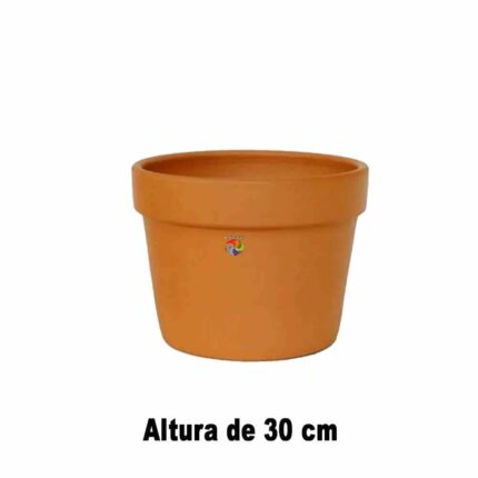 Vaso Caqueiro 1