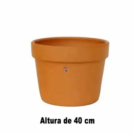 Vaso Caqueiro 2