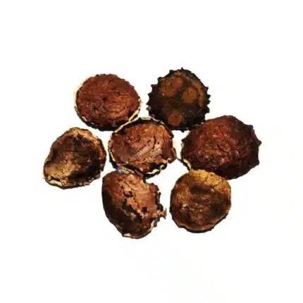Fava de Santo Inácio