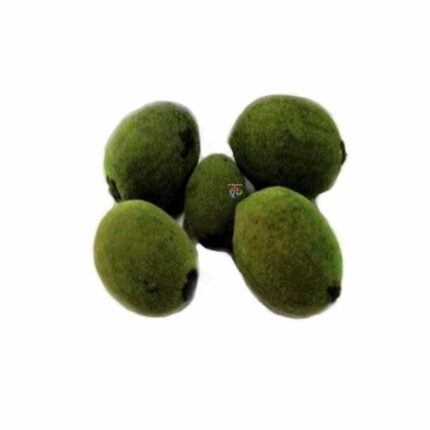 Fava de Obará